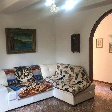 カンピーリア・マリッティマCasa Di Nellaアパートメント エクステリア 写真